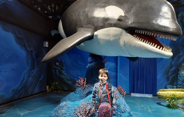 :اردوی اقیانوس پارک، کلاس فضانوردان 4