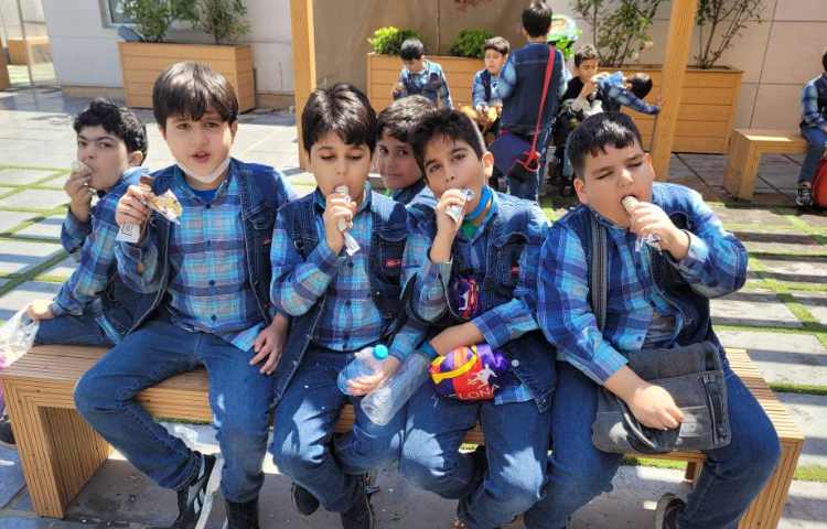 :اردوی اقیانوس پارک، کلاس کوهنوردان 12