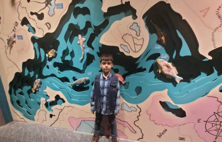 :اردوی اقیانوس پارک، کلاس کوهنوردان 7