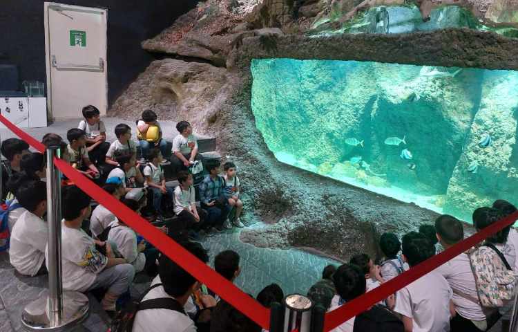 اردوی اقیانوس پارک 1