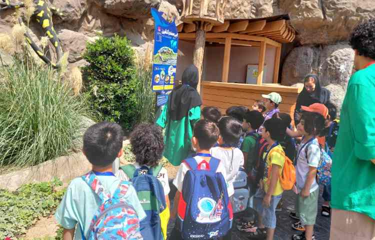 اردوی اقیانوس پارک 11