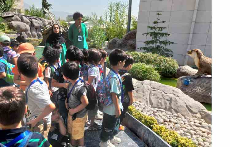 اردوی اقیانوس پارک 13