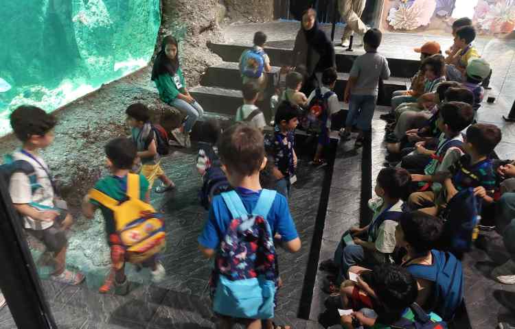 اردوی اقیانوس پارک 15