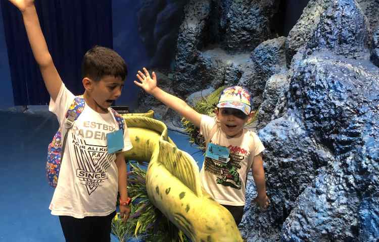 اردوی اقیانوس پارک 2