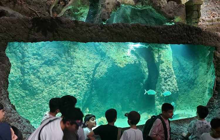 اردوی اقیانوس پارک 3