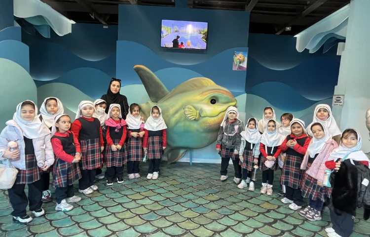 اردوی اقیانوس پارک 3