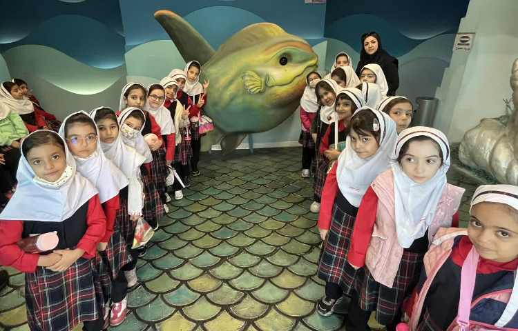 اردوی اقیانوس پارک 4