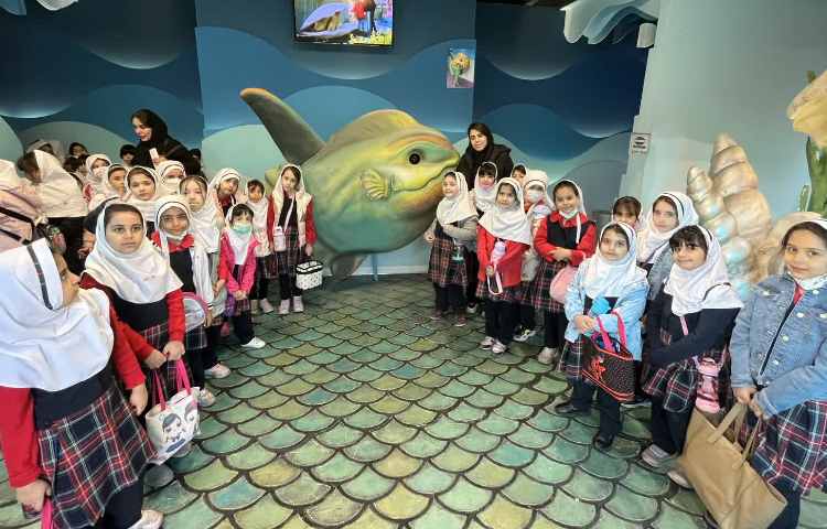 اردوی اقیانوس پارک 5