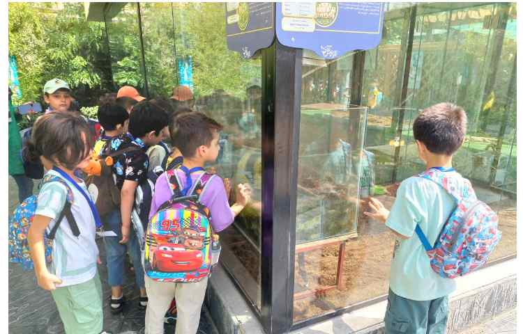 اردوی اقیانوس پارک 5