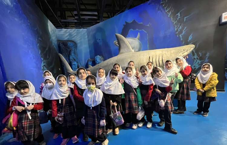 اردوی اقیانوس پارک 6