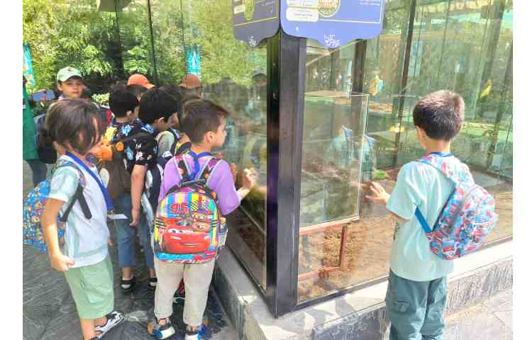 اردوی اقیانوس پارک 6