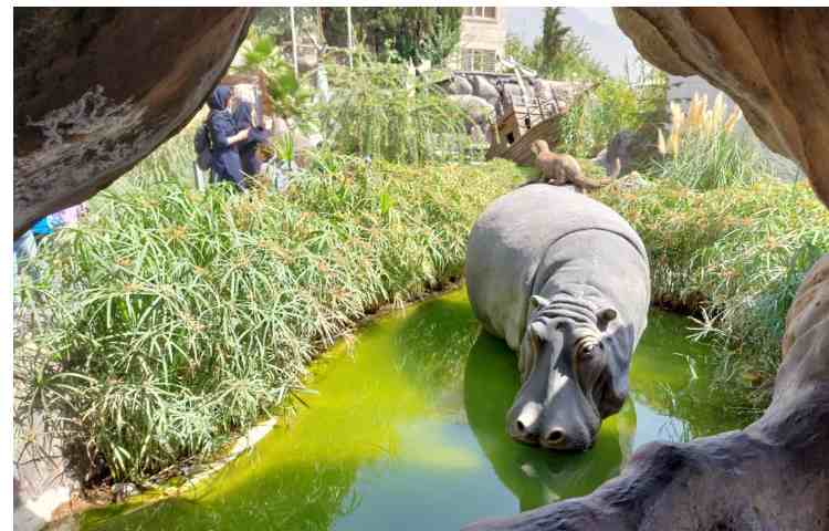 اردوی اقیانوس پارک 7