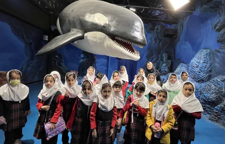 اردوی اقیانوس پارک 8