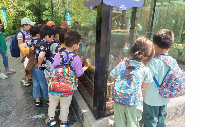 اردوی اقیانوس پارک 9