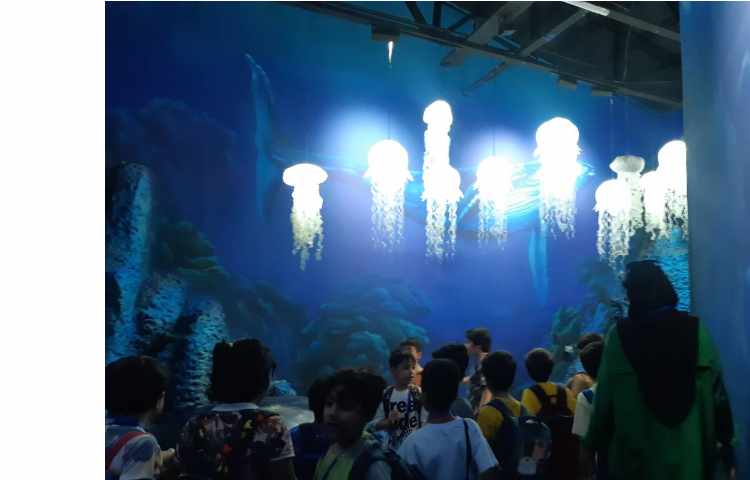 اردوی اقیانوس پارک 9