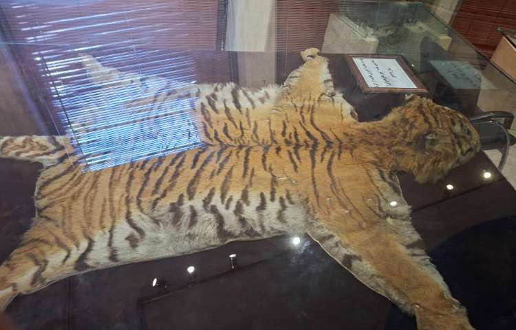 اردوی بازدید از موزه حیات وحش دار آباد 1