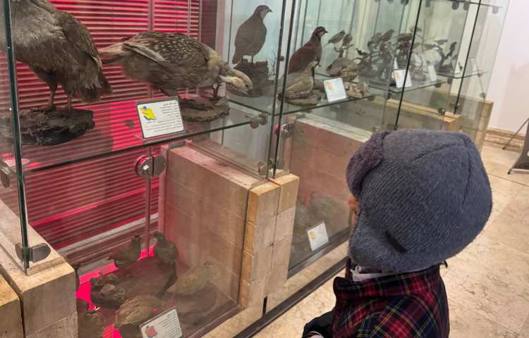 اردوی بازدید از موزه حیات وحش دار آباد 11