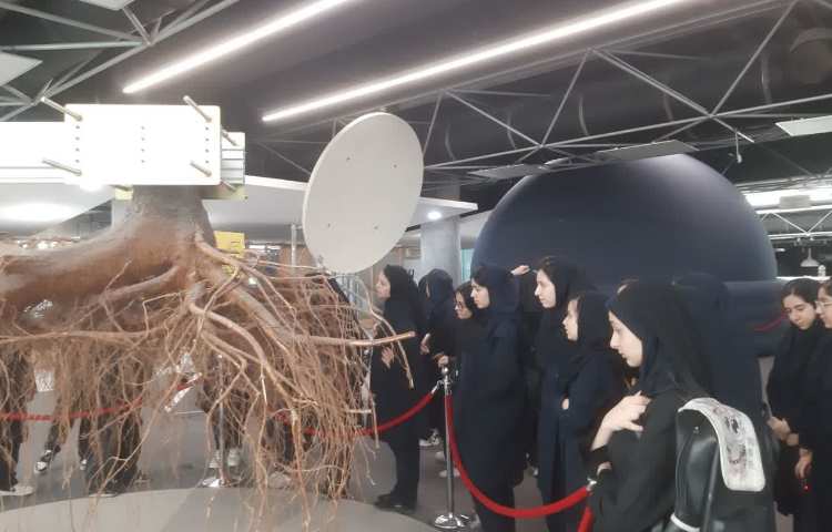 اردوی باغ علم نوجوان 2