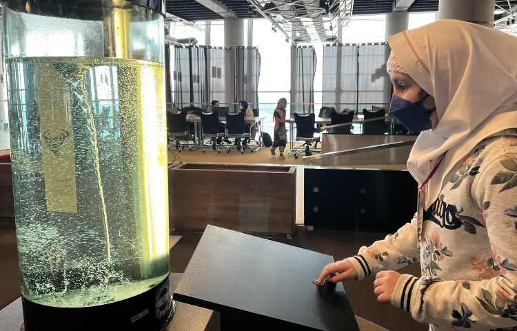 اردوی باغ علم و نوجوان کلاس چهارم 8