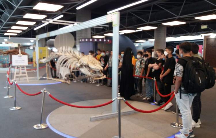 اردوی باغ علم 4