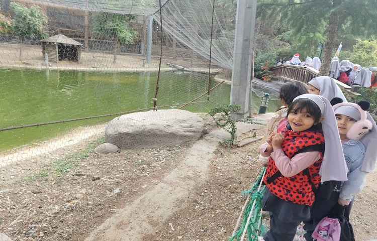 اردوی باغ پرندگان 10