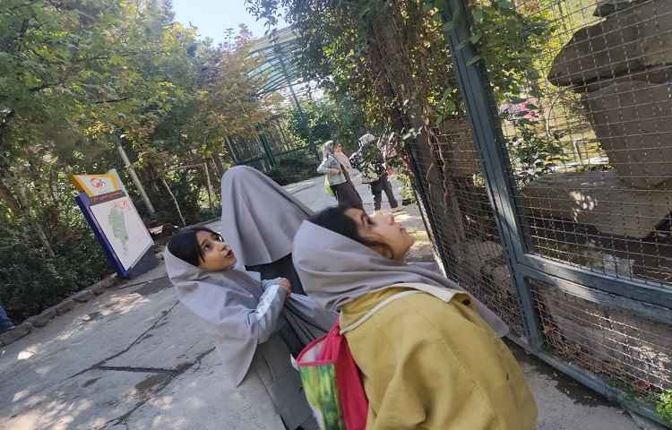 اردوی باغ پرندگان 8