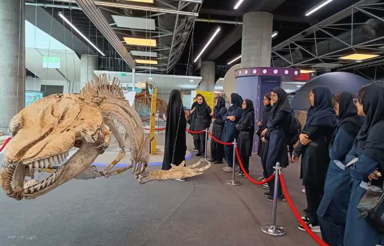 اردوی باغ کتاب دانش آموزان دهم/تابستان 1403-1402 3