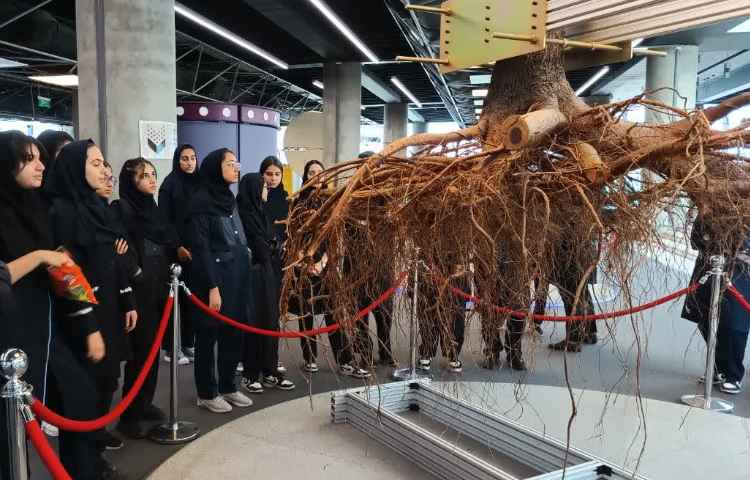 اردوی باغ کتاب دانش آموزان دهم/تابستان 1403-1402 4