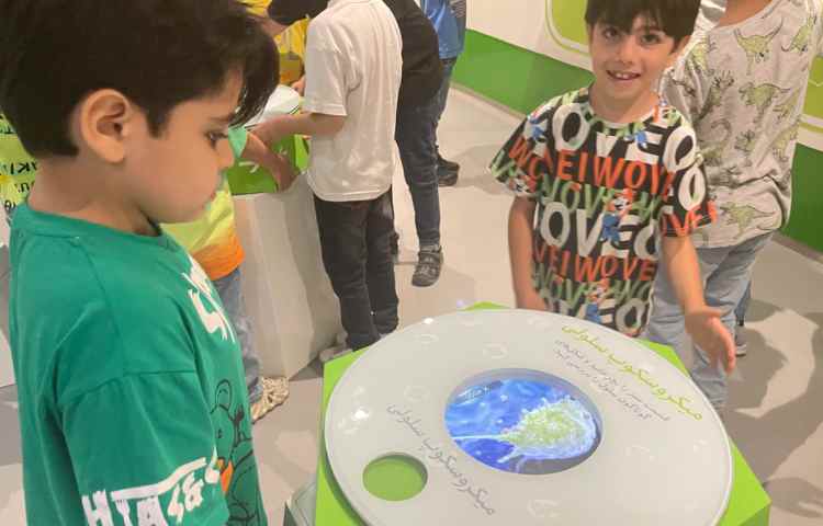 اردوی باغ کتاب دانش آموزان پایه دوم 1