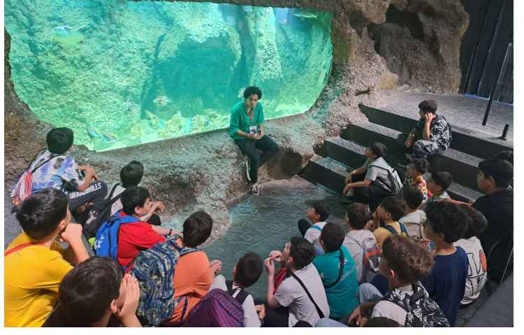 اردوی تابستانه اقیانوس پارک 1