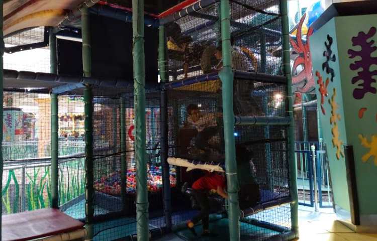 :اردوی تفریحی سرزمین عجایب، پایه دوم 6