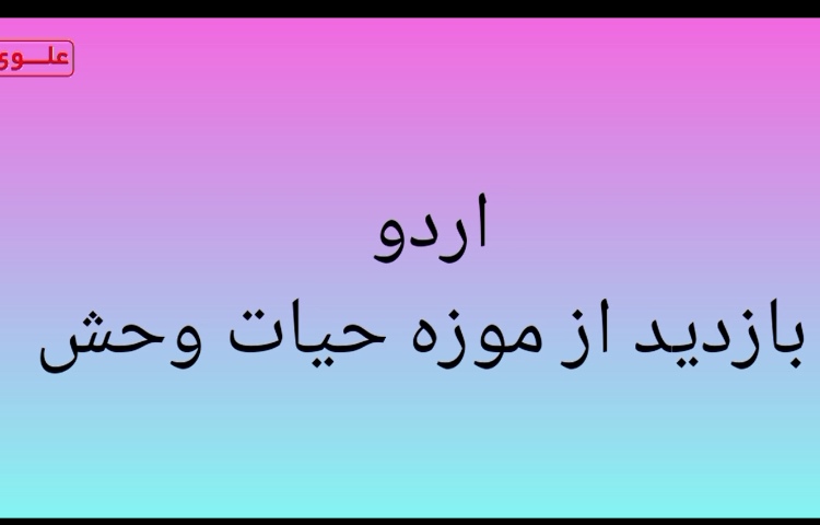 اردوی تفریحی 1