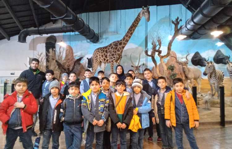 اردوی تفریحی 3