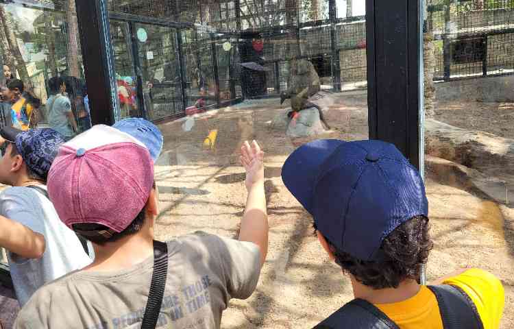 اردوی تفریحی 4