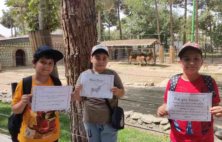 اردوی تفریحی 5