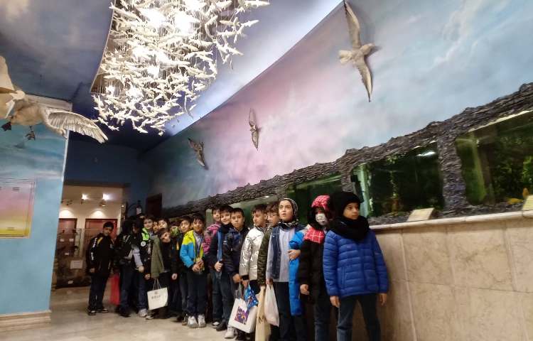 اردوی تفریحی 5