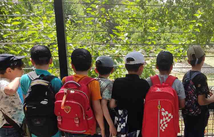 اردوی تفریحی 8