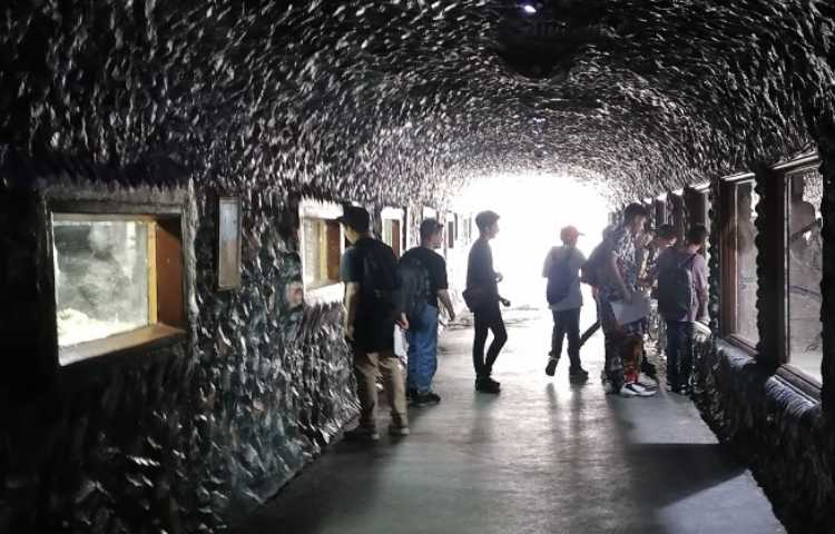 اردوی تفریحی 9