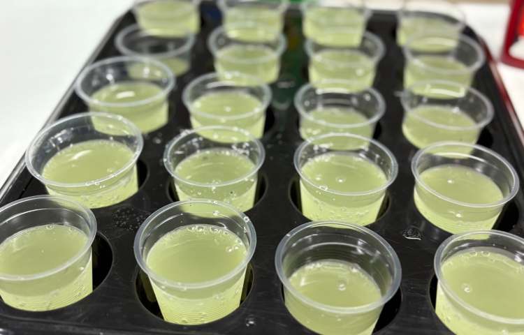 اردوی تلفیقی سپهر دانش قاب برجسته +کف بازی 19