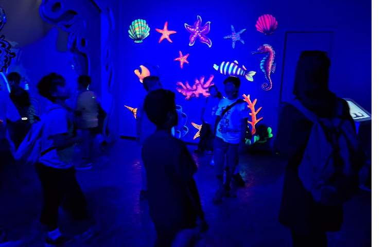 اردوی جذاب تابستانی اقیانوس پارک 1