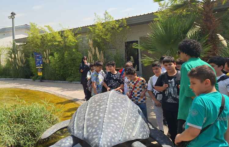 اردوی جذاب تابستانی اقیانوس پارک 13