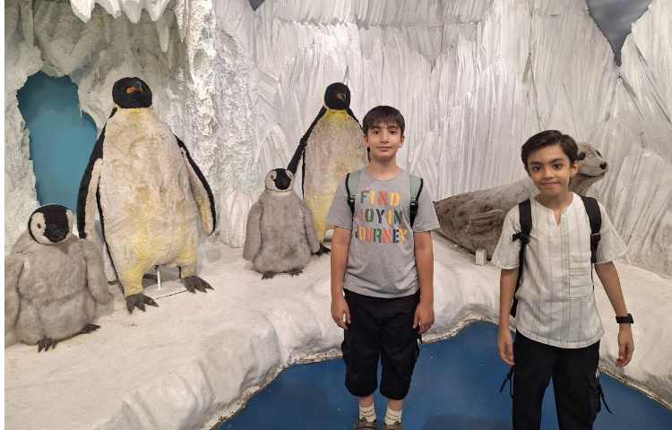 اردوی جذاب تابستانی اقیانوس پارک 17