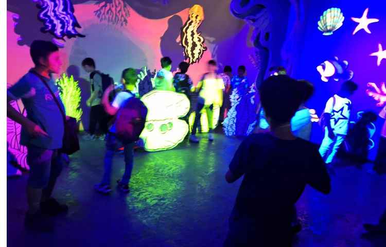 اردوی جذاب تابستانی اقیانوس پارک 18