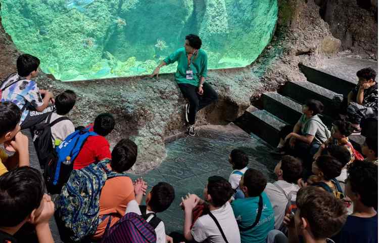 اردوی جذاب تابستانی اقیانوس پارک 2