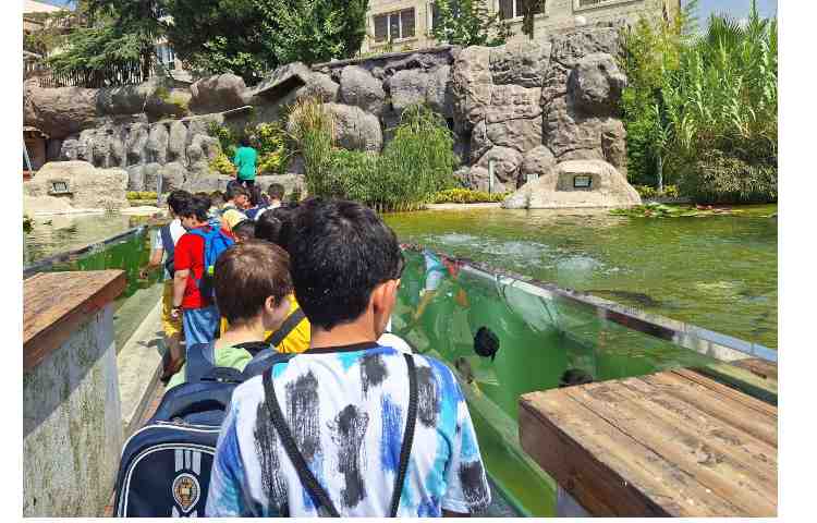 اردوی جذاب تابستانی اقیانوس پارک 4