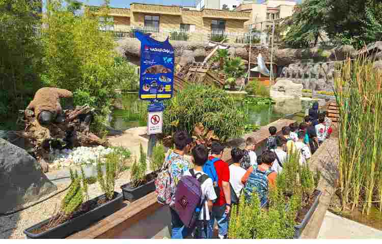 اردوی جذاب تابستانی اقیانوس پارک 6