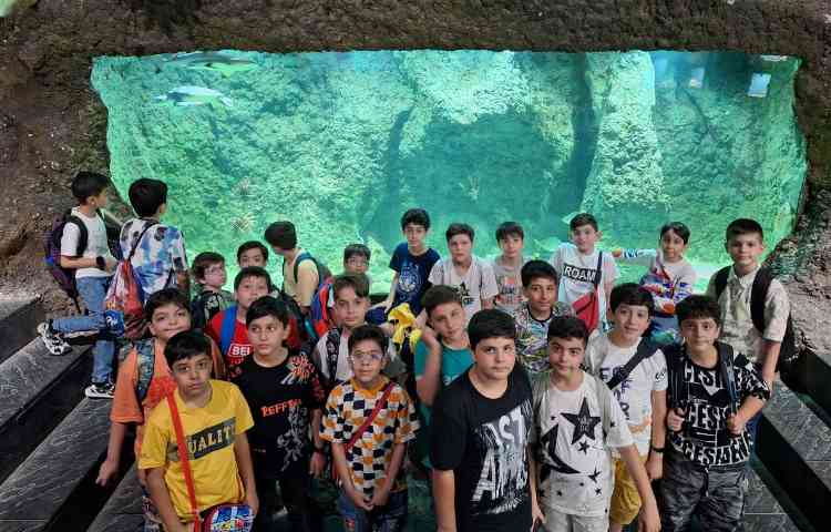 اردوی جذاب تابستانی اقیانوس پارک 8