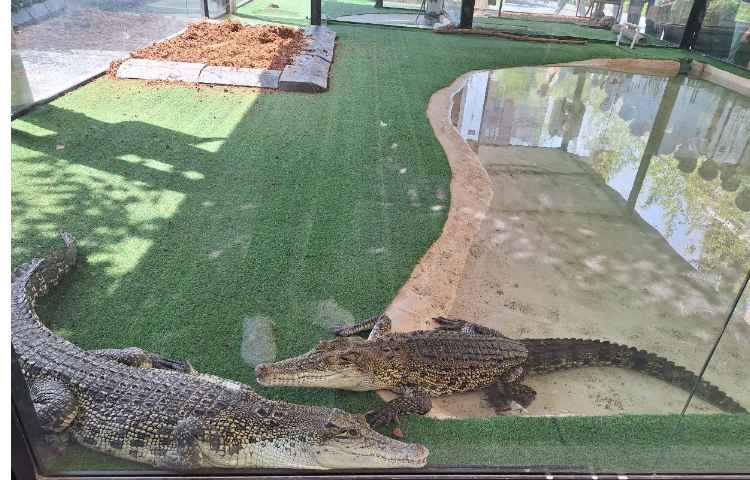 اردوی جذاب تابستانی اقیانوس پارک 9