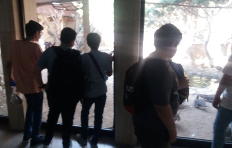 اردوی حیات وحش دارآباد 3