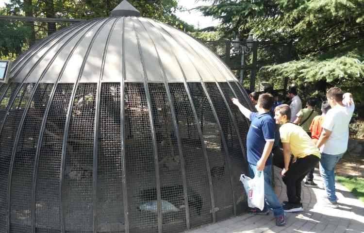 اردوی حیات وحش دارآباد 6